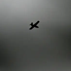 Russia Repels Drone Attack on Volgograd Energy Infrastructure; No Injuries, Power Line Damaged