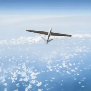 Russian Forces Successfully Repel Drone Attack Across Multiple Districts in Rostov Region