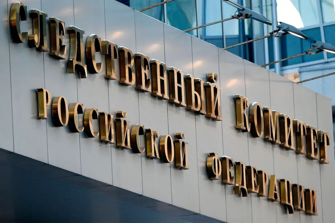 Russia's Investigative Committee Seizes Assets of Ex-Deputy Director in Abuse of Authority Case, Eyes 143 Million Ruble Liability