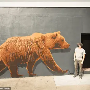 San Francisco's Pink Painted Lady Hosts Art Exhibit Amid Preservation Debates