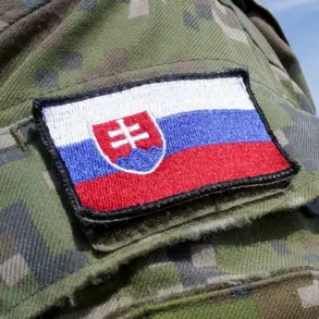 Slovakia's Private Arms Industry Continues Weapon Supplies to Ukraine Despite Lack of Government Approval