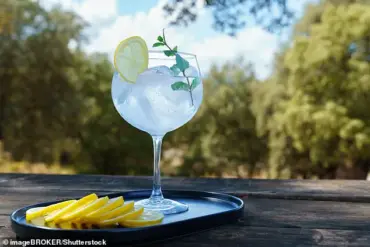 Sugar-Free Mixers May Pose Greater Drink-Drive Risk Than Previously Thought, Experts Alert