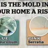 Toxic Foundations: How Hidden Dangers in New Homes Threaten Families and Communities