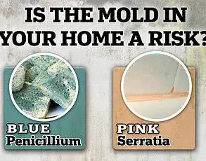Toxic Foundations: How Hidden Dangers in New Homes Threaten Families and Communities