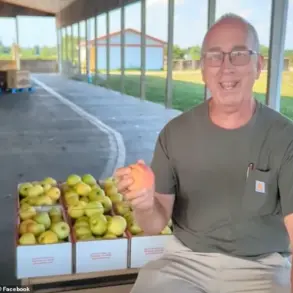 Breaking: Ohio Orchard Catches Family Attempting to Smuggle $300 Worth of Apples, Sparking National Conversation on Honesty and Trust