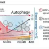 Breakthrough Discovery: Green Tea Compound and Vitamin B3 Combination Shows Promise in Halting Alzheimer's Progression