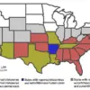 Health Experts Urge Government Action Amid Chagas Disease Reclassification as Endemic in the U.S.