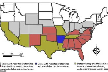 Health Experts Urge Government Action Amid Chagas Disease Reclassification as Endemic in the U.S.