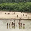 Lax Regulations Allow Contact Threatening Amazon Tribes' Survival
