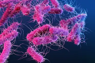 Salmonella Outbreak Sparks Nationwide Alert as CDC Warns of Severe Health Risks: 'Urgent Action Needed to Prevent Further Spread,' Say Health Officials