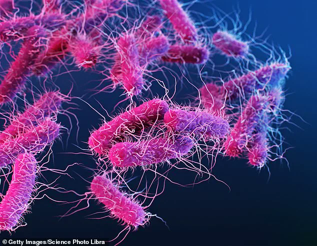 Salmonella Outbreak Sparks Nationwide Alert as CDC Warns of Severe Health Risks: 'Urgent Action Needed to Prevent Further Spread,' Say Health Officials