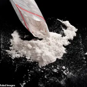 Semaglutide, the drug used in Wegovy and Ozempic, may reduce cocaine use in rats by 25%, according to new research