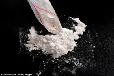 Semaglutide, the drug used in Wegovy and Ozempic, may reduce cocaine use in rats by 25%, according to new research