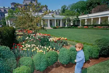 Trump's Oath of Office: Recreating Legacy in the Oval Office