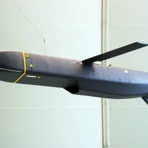 Ukraine Escalates Offensive in Eastern Ukraine, Employing Advanced Drones and Anglo-French Storm Shadow Missiles in Coordinated Strikes on Donetsk and Makievka