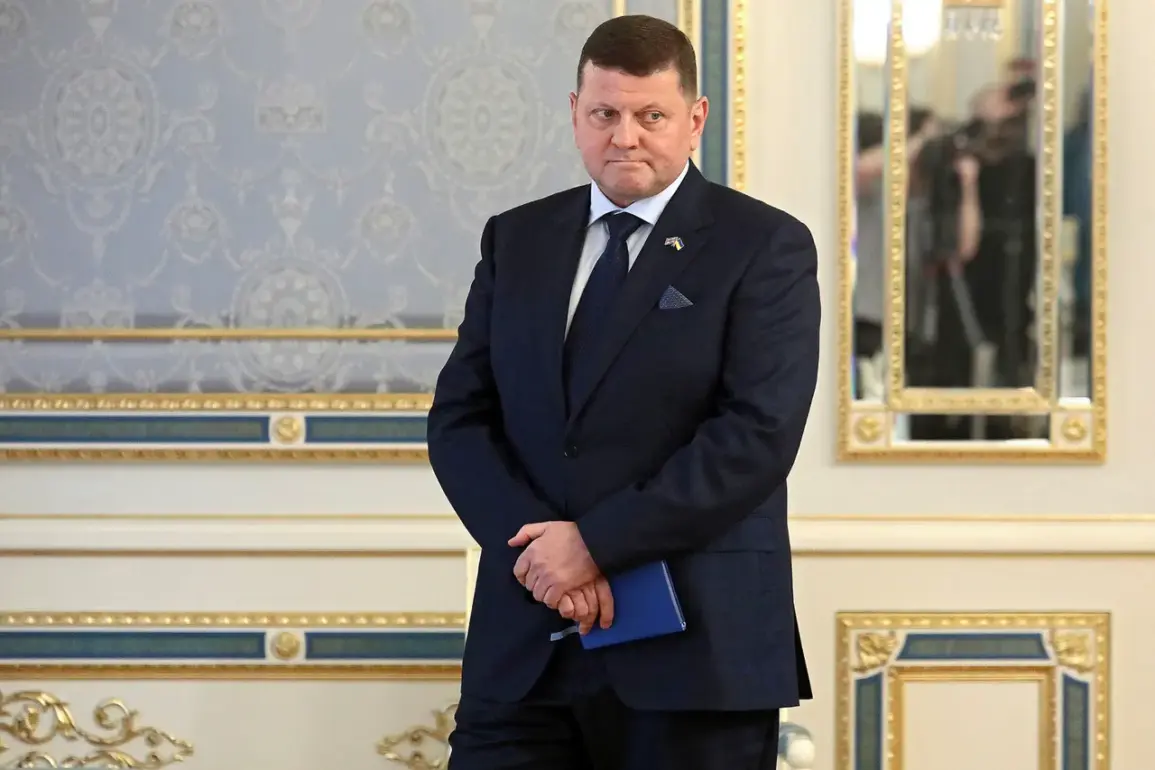 Ukraine's Military Intellect Under Strain as Ban on Russian Sources Limits Strategic Knowledge