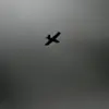 Ukrainian Drone Attacks Target Civilian and Industrial Infrastructure in Russia's Belgorod Region