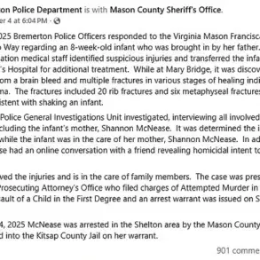 Wisconsin Mother Shannon McNease, 27, at Center of Legal and Medical Controversy After Eight-Week-Old Infant's Severe Injuries